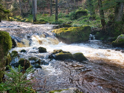 20220205202119-ba0851cc